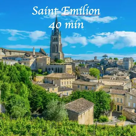 Terrasse Wifi Parking A 50m Du Tram B Apartment Pessac
